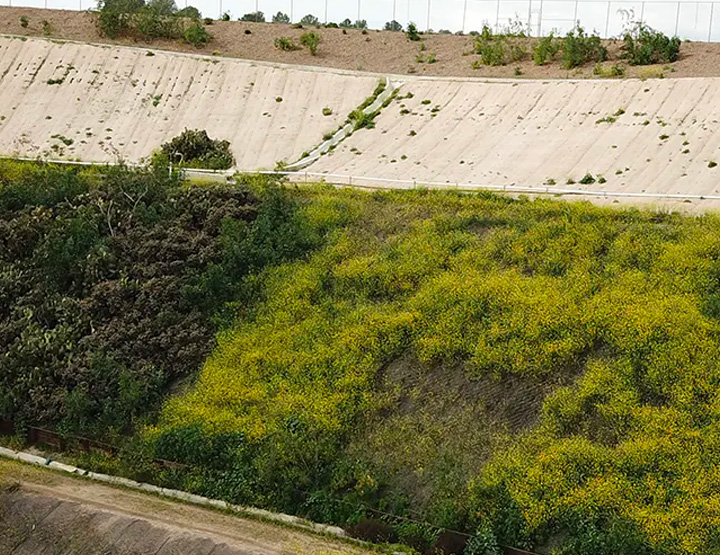 Erosion Control - Moderate Slope