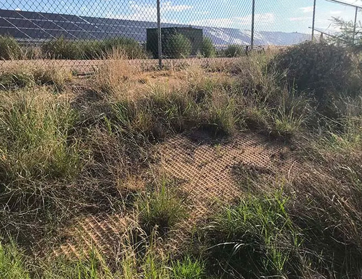 Erosion Control - Reinforced Vegetation